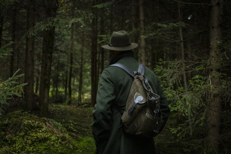 forest, nature, hunter, wilderness, wildlife, wild, hiking, black forest, outdoors, adventure, hunter, hunter, hunter, hunter, hunter, hiking, hiking